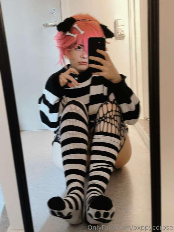 pxppycorpse image #7