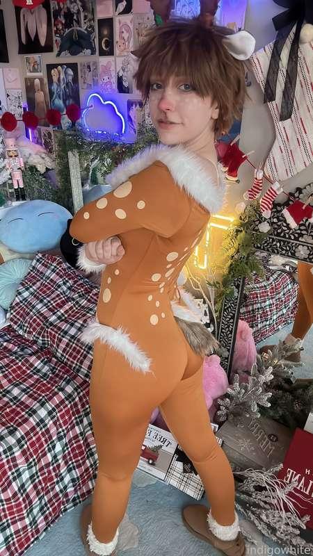 indigowhite image #56