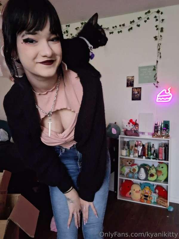 kyanikitty image #1