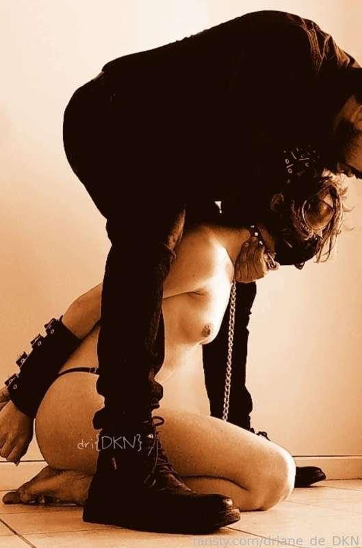 driane_de_dkn image #2