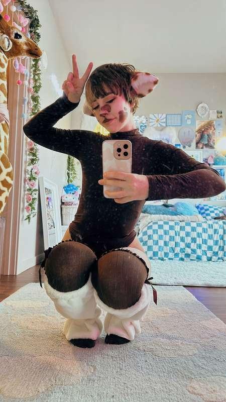 indigowhite image #106
