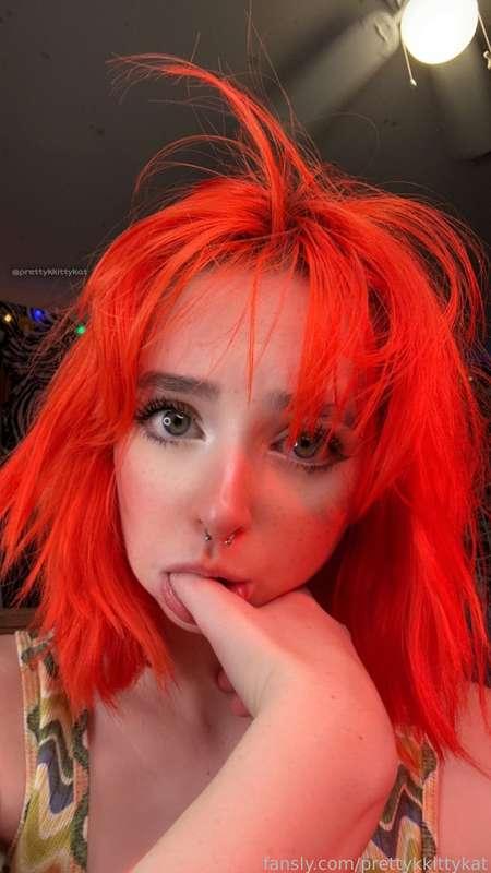 prettykkittykat image #2