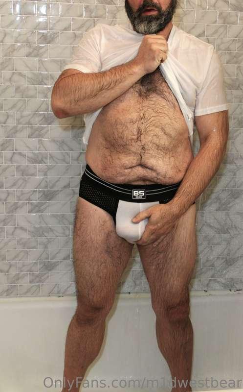 m1dwestbear image #2