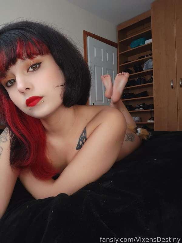 vixensdestiny image #5