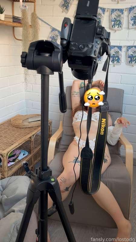 lostodg image #2