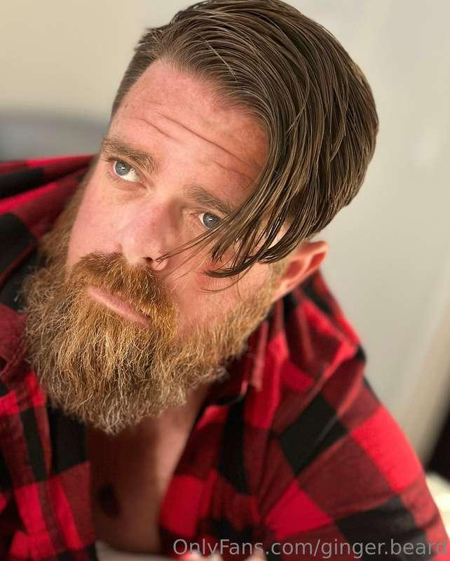 ginger.beard image #0