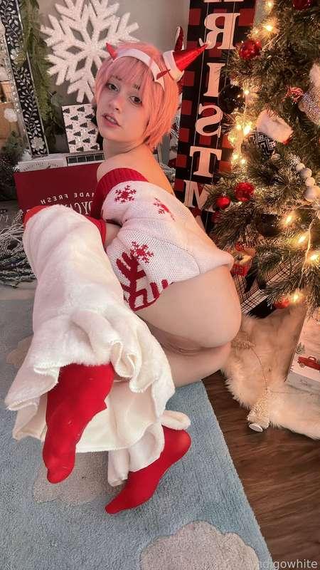 indigowhite image #15