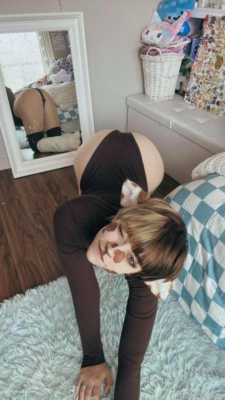 indigowhite image #145