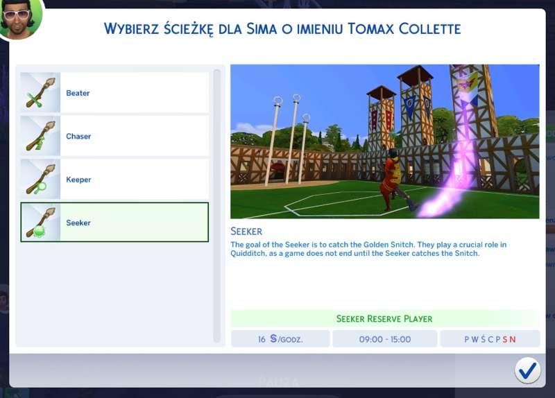 Quidditch Career