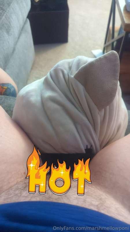 marshmellowponi image #0