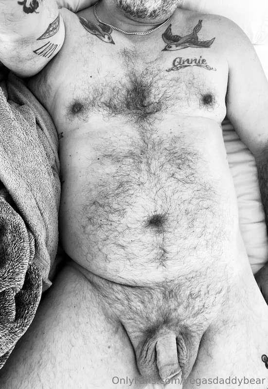 vegasdaddybear image #1