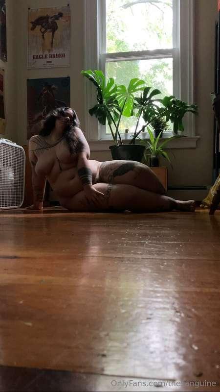 thesanguine image #5