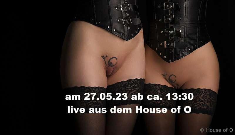 Hallo ihr Lieben,  heute gehen wir online aus dem House of O..