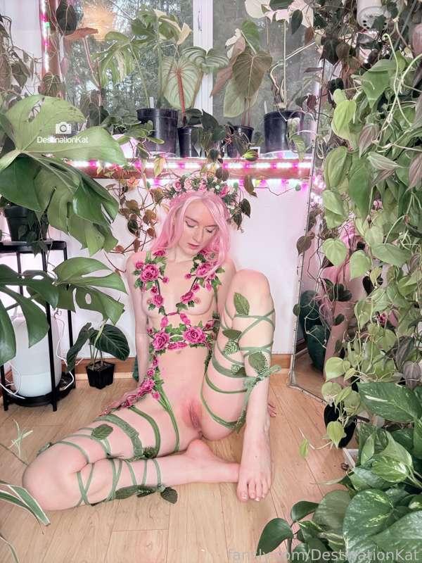 destinationkat image #12