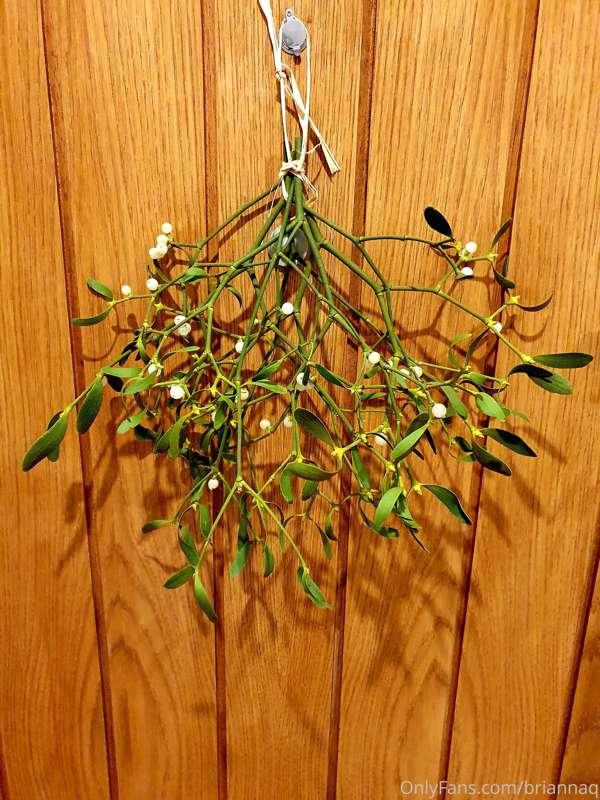 Iv got my mistletoe! Wheres my 💋
