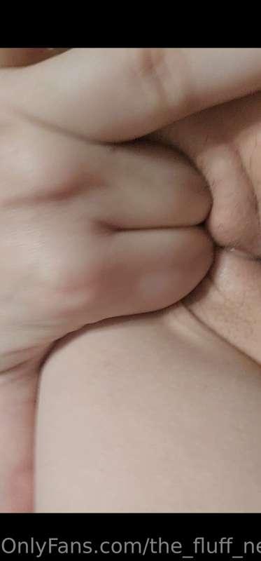 the_fluff_nextdoor image #5