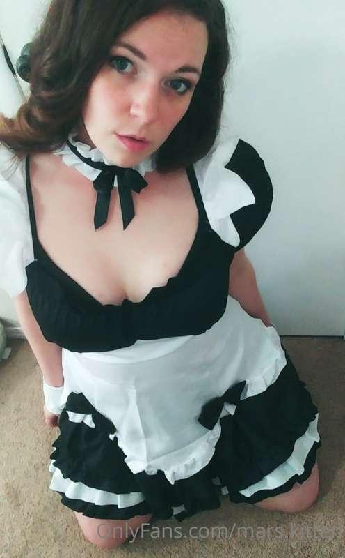 mars.kitten image #0