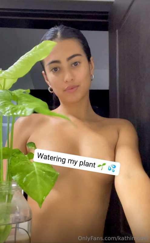 Watering my plant 🌱 