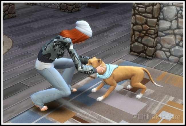 New Mod "My Pets"