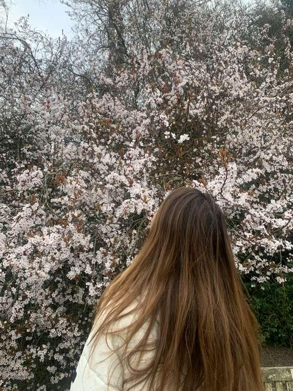Super Personal | The Sakura Blossom is here!! 🌸 
