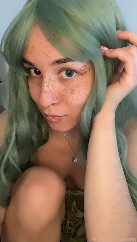 lostodg image #2