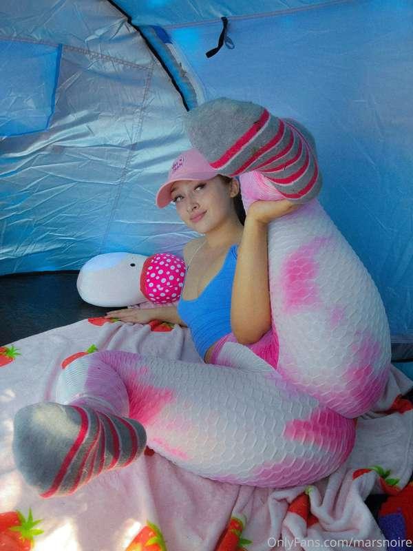 I bought a little tent so when my cat and I go out we have o..