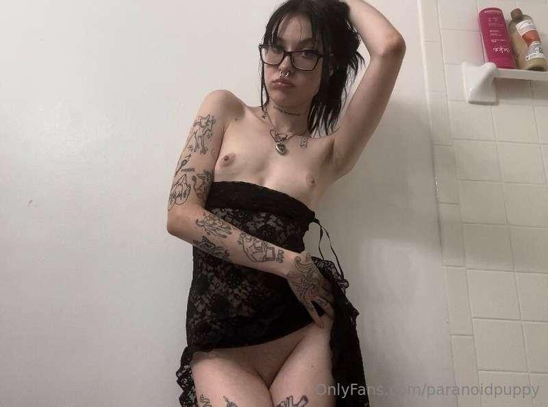 paranoidpuppy image #0