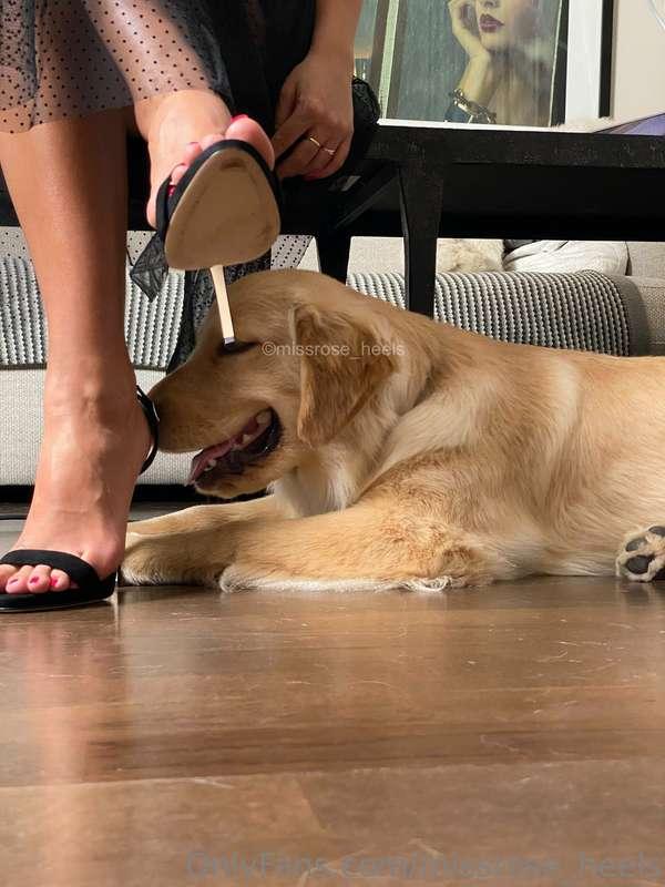 missrose_heels image #14