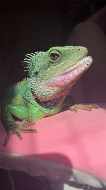 Sorry if I’m not active right now. I just lost my baby. A pa..