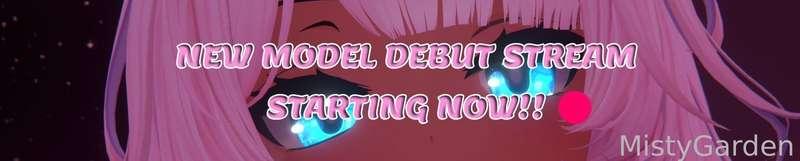 DM