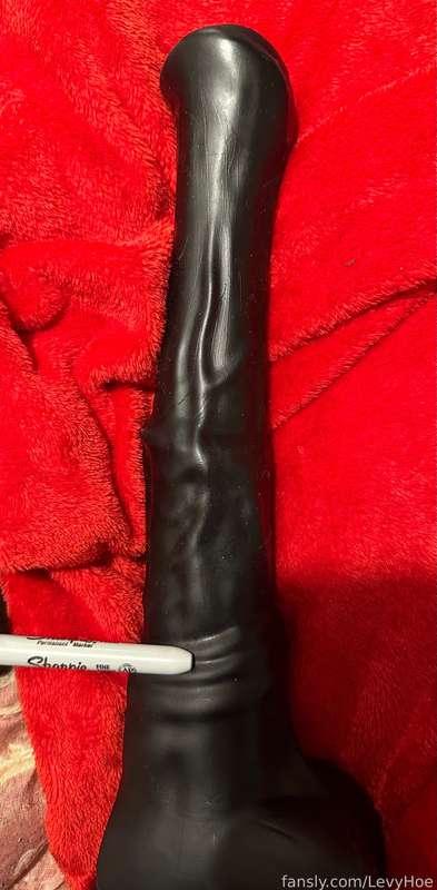 levyhoe image #0