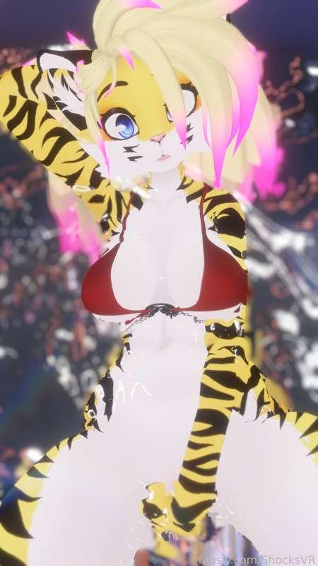 shocksvr image #2