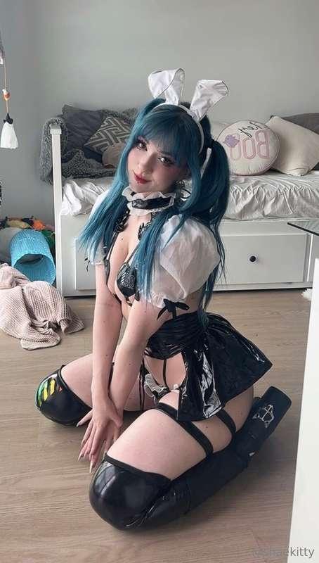 shaekitty image #2