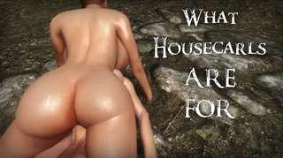 What Housecarls Are For