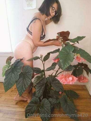 my angel wing begonia was in full bloom! <3