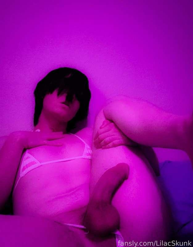 lilacskunk image #2