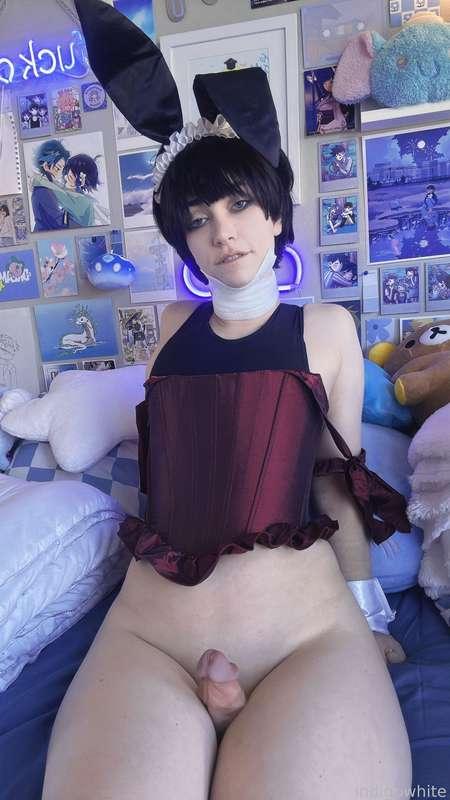 indigowhite image #144