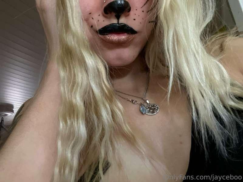 be ready for a freaking meow content🥹🥰