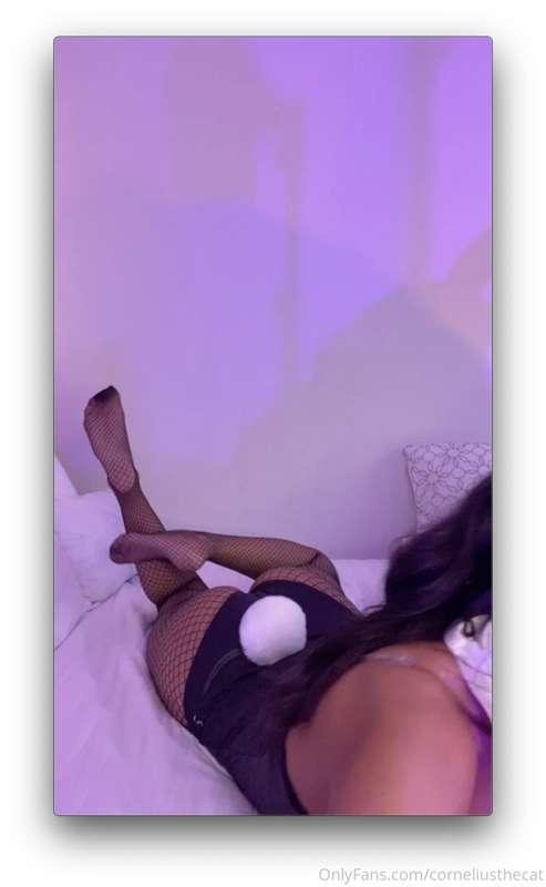 Ear licking bunny on tummy and booty up 🥵Position 2 in your ..