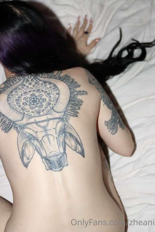 zheani image #4
