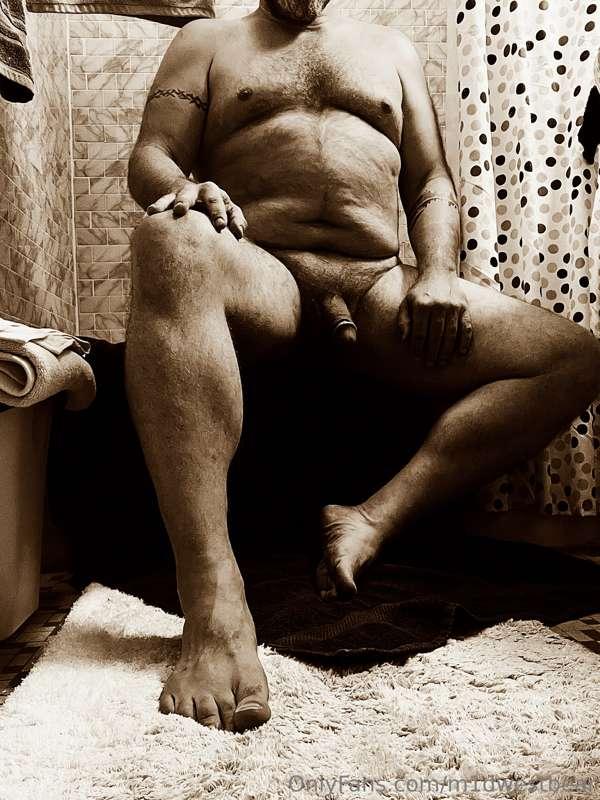 m1dwestbear image #1
