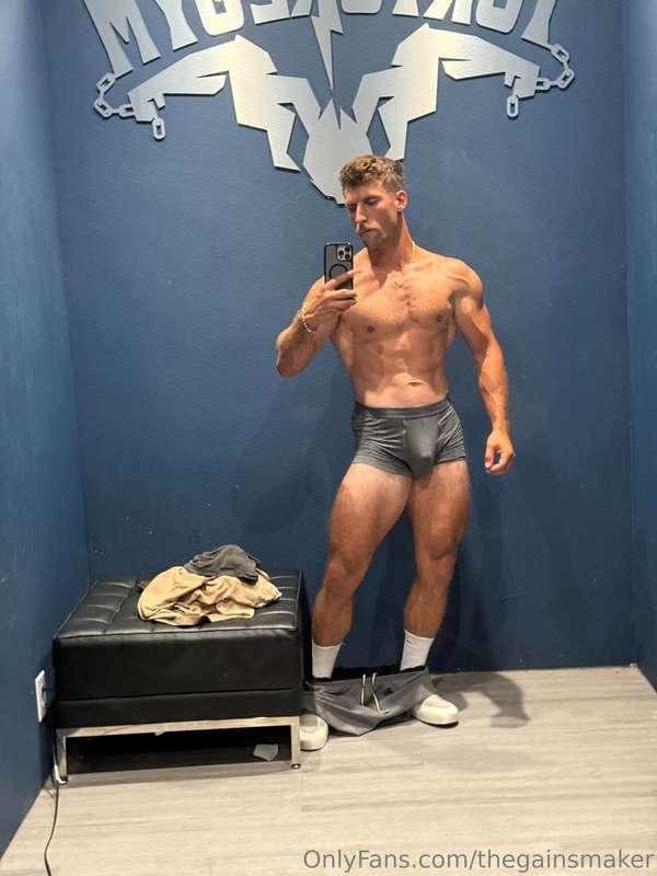 thegainsmaker image #7