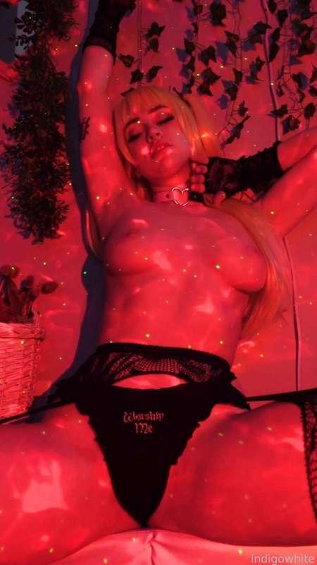 indigowhite image #26