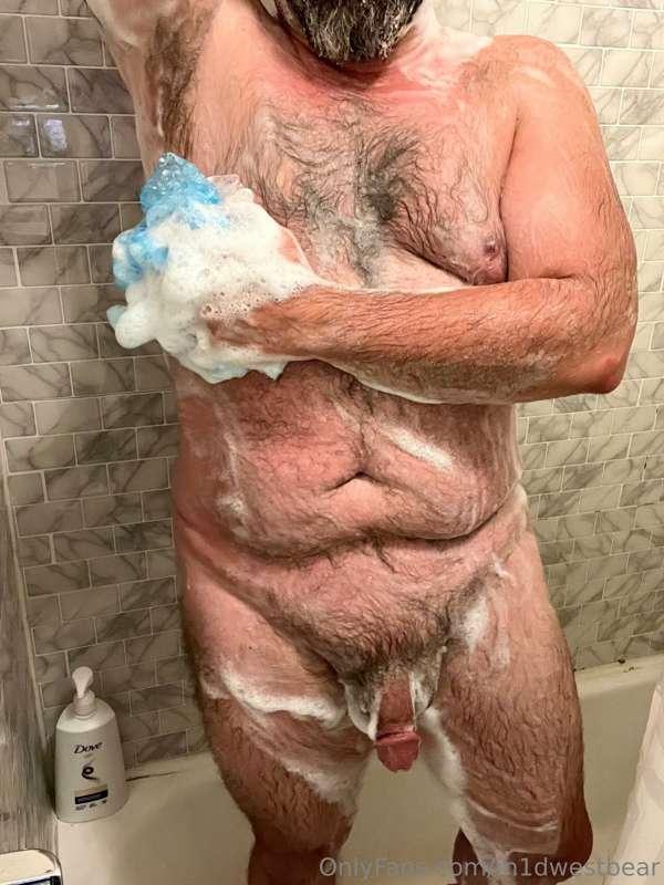 m1dwestbear image #2