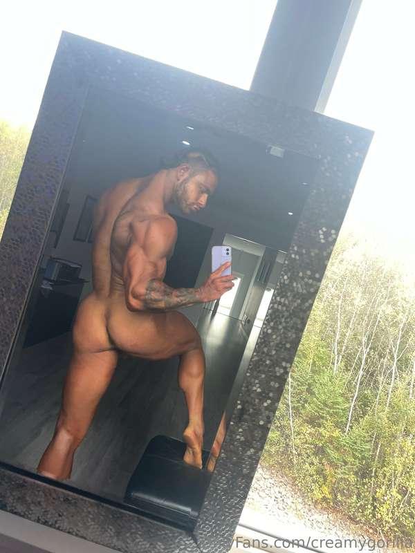 creamygorilla image #1