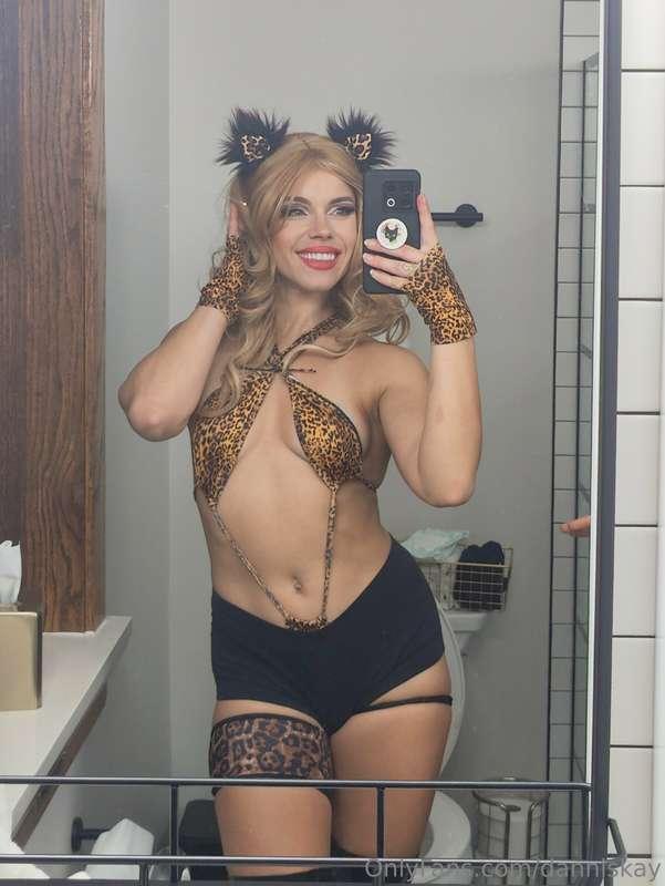 Meow 🐆