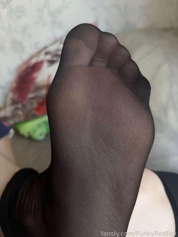 funkyredfox image #3