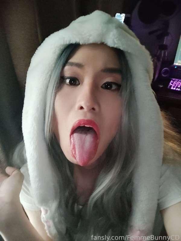 femmebunnycd image #3