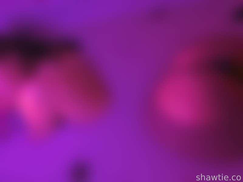 shawtiee image #7