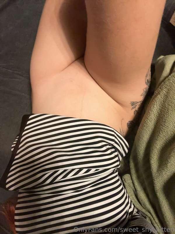 sweet_shy_kitten image #0